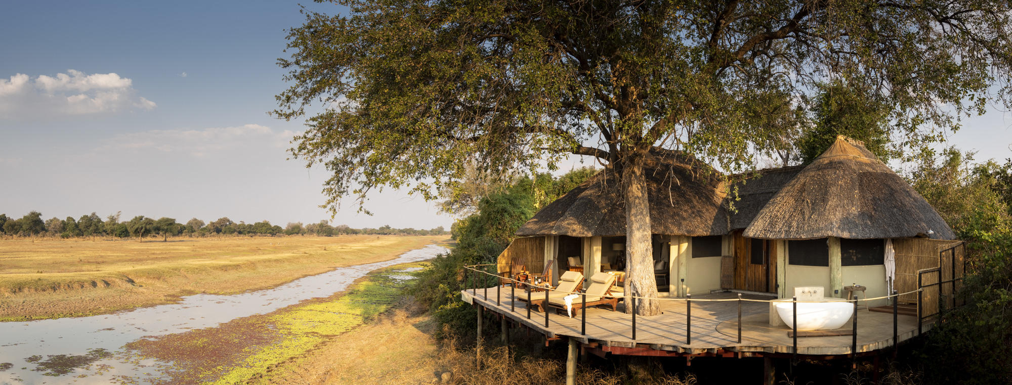 Lion Camp